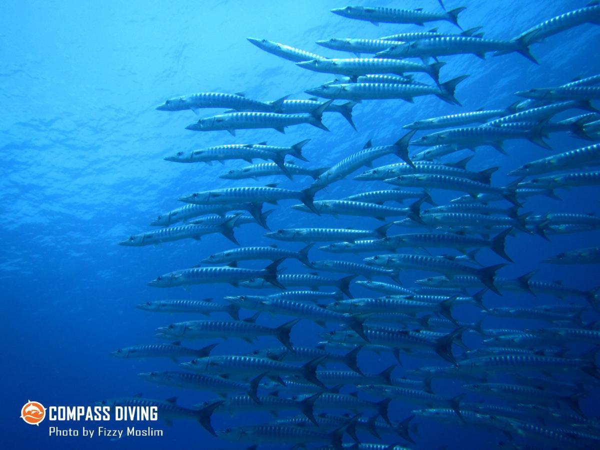 Compass Diving Resort Beloi Extérieur photo